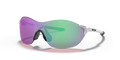 Oakley Evzero Swift (a)