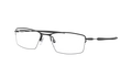 Oakley Lizard