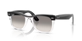 Ray-Ban Wayfarer