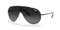 Ray-Ban Wings