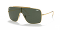 Ray-Ban Wings II