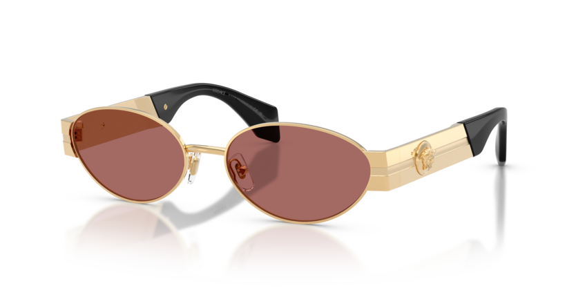 Versace 2301