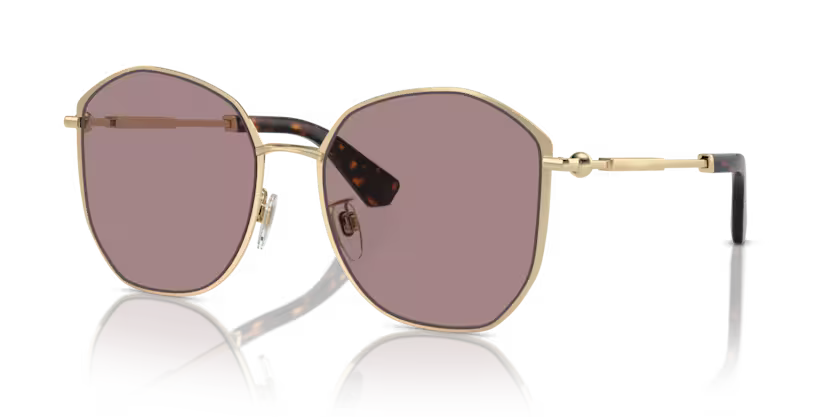 Burberry 3153D