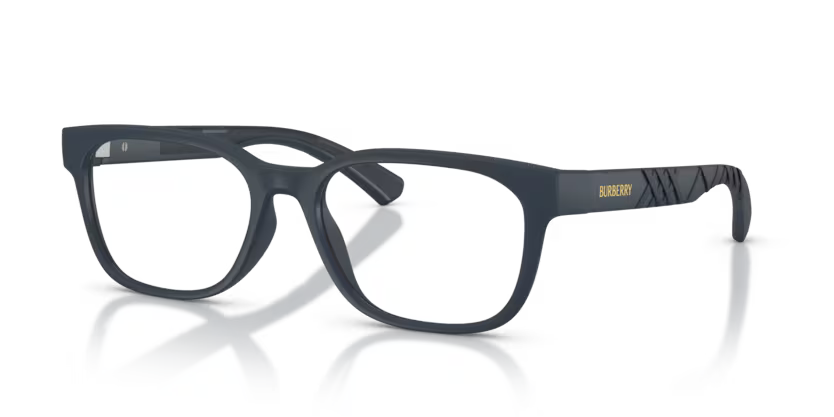 Burberry 2460D