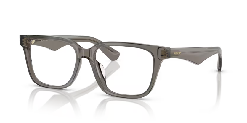 Burberry 2425D