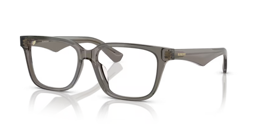 Burberry 2425D